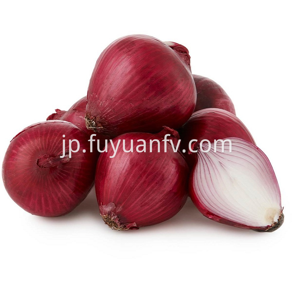 Red Onion 10